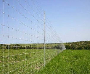 Steel Field Fence with Fixed Knots Structure