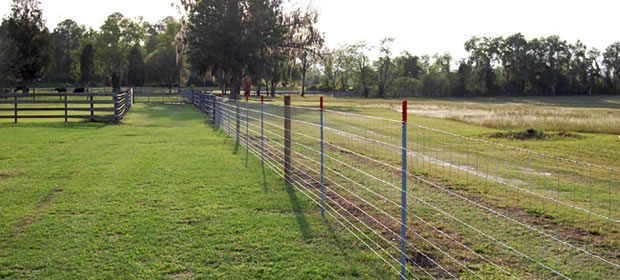 Welded Wire Fence panels fixed with posts for farms