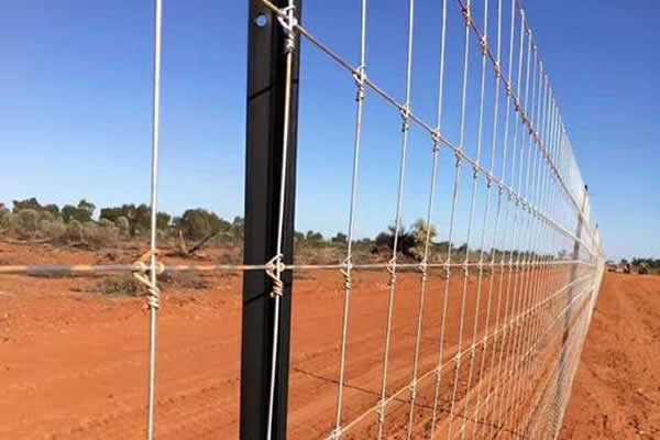 Fixed Knot High Tensile Steel Wire Fence Panels